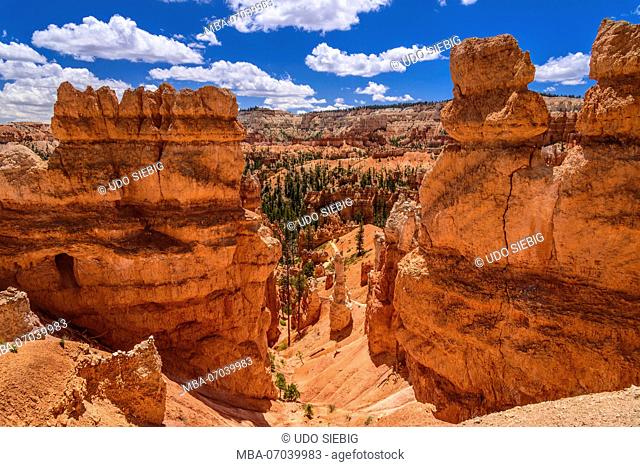 USA, Utah, Garfield County, Bryce Canyon National Park, Amphitheater, Queens Garden, View from the Queens Garden Trail