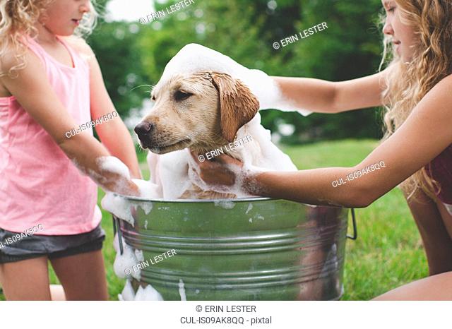 Two sisters bathing pet Labrador Retriever puppy