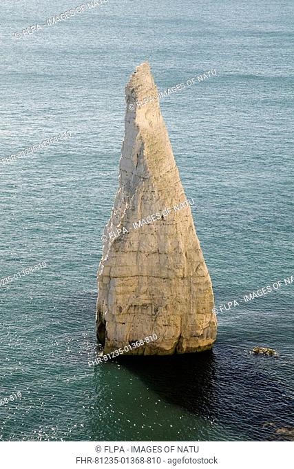 Chalk pinnacle rock, Old Harry Rocks, Jurassic Coast, Handfast Point, near Studland, Dorset, England