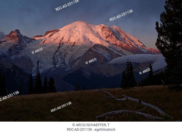 Mount Rainier in early morning light Mt Rainier National Park Washington USA