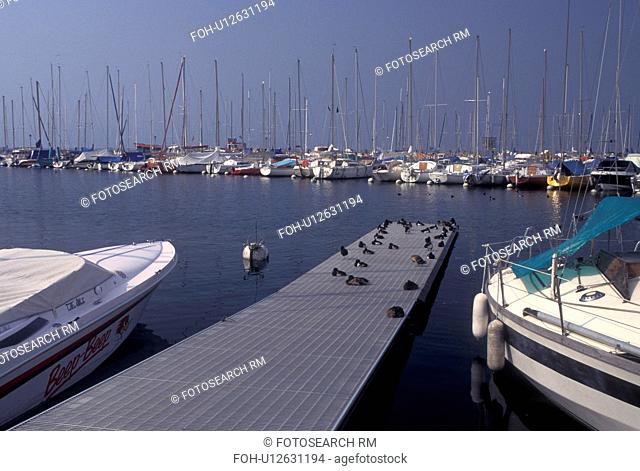 Switzerland, Lausanne, Ouchy, Vaud, Lac Leman, Boats docked in the harbor of Lake Geneva. Ducks on the dock