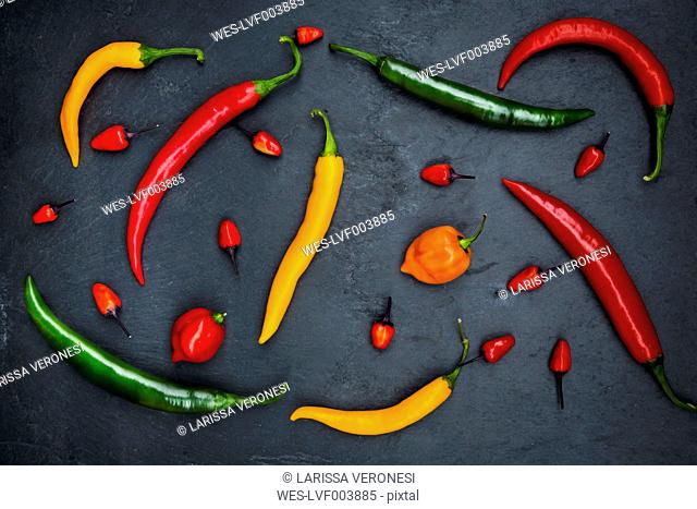 Different chili peppers on slate