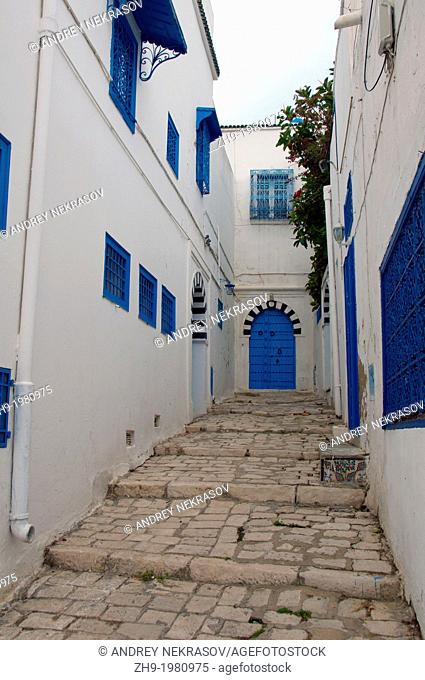 Sidi Bou Said, Tunisia, Africa