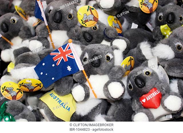 Koala bears, stuffed toys, souvenirs, Australia