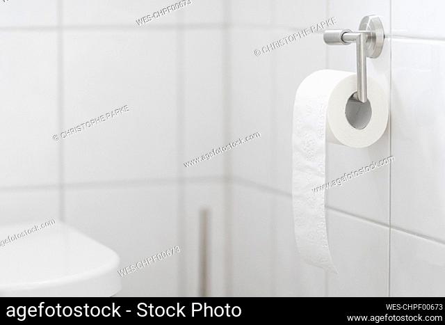 Toilet roll in white bath