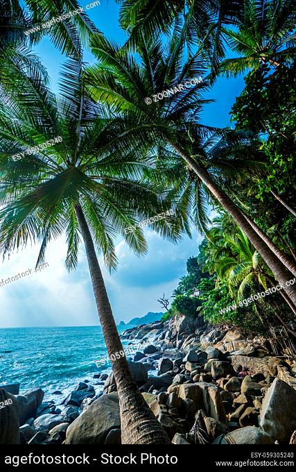 View of nice tropical background with coconut palm trees and rocks over sea and sky in Thailand