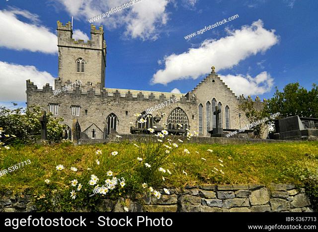 St. Mary's Cathedral, Limerick Cathedral