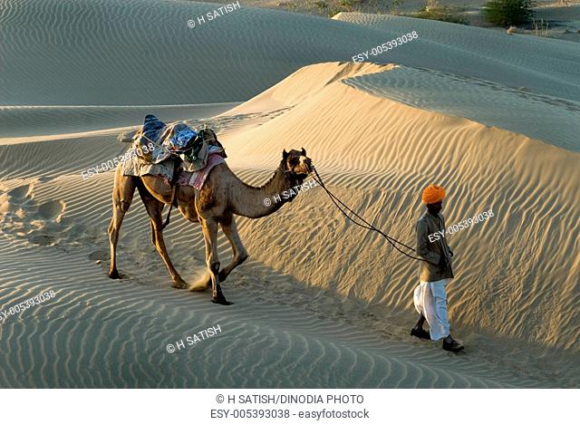 Man walking with camel in sand dunes , Khuri , Jaislamer , Rajasthan , India