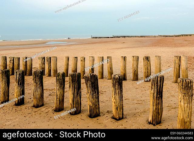 Breakwaters on the beach at sunset in Domburg, Zeeland, Holland