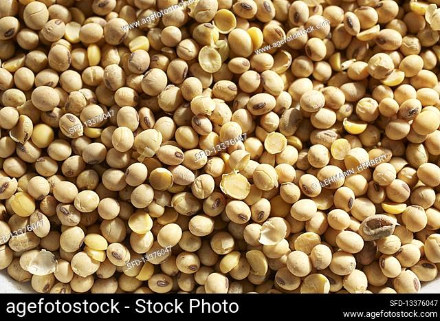 Tofu production: Dried soy beans