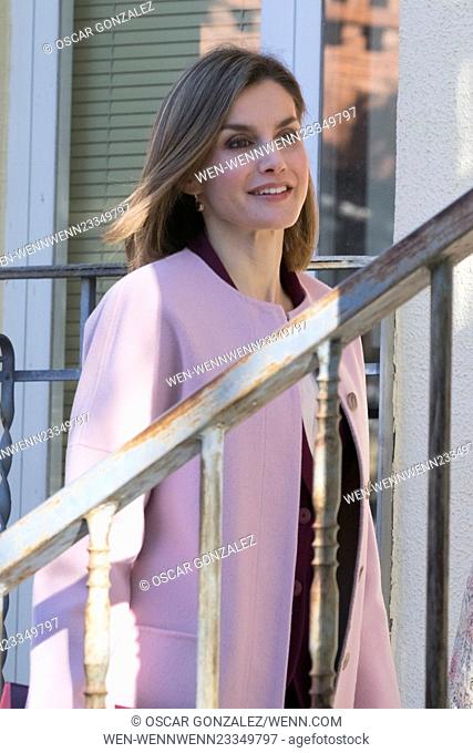 Queen Letizia of Spain arrives for a meeting with the Foundation for Help Against Drug Addiction (FAD) at the FAD headquarters Featuring: Queen Letizia Where:...