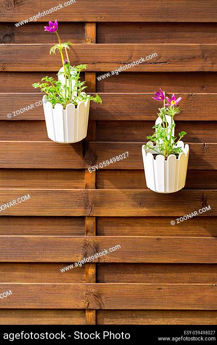 Outdoor flower pot hanging on wooden fence for small garden, patio or terrace