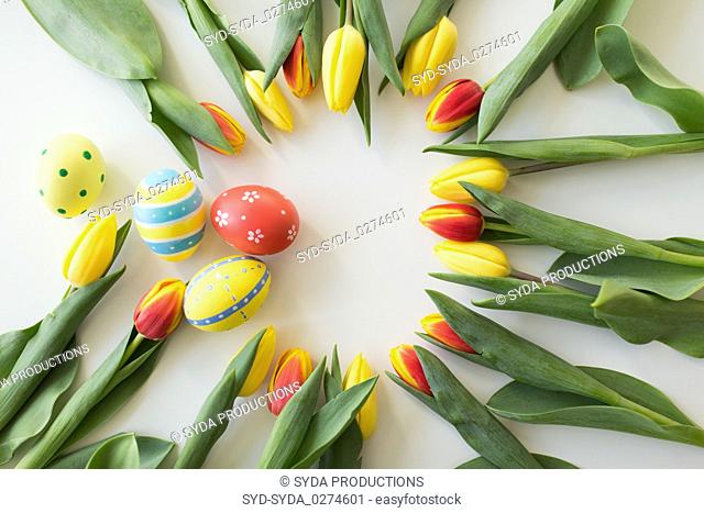 close up of colored easter eggs and tulip flowers