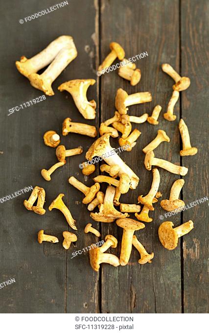 Chanterelle mushrooms on a rustic wooden table