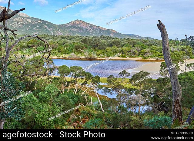 Landscape, Tidal River, Wilsons Promontory National Park, Victoria, Australia, Oceania