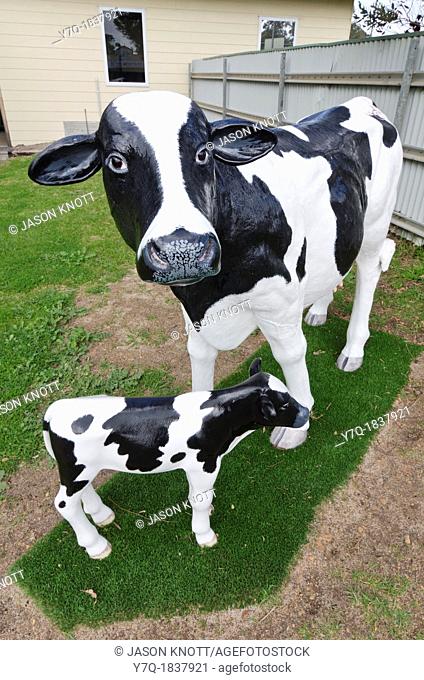 Life-size Friesian dairy cows can be found throughout the country town of Cowaramup, Western Australia, Australia