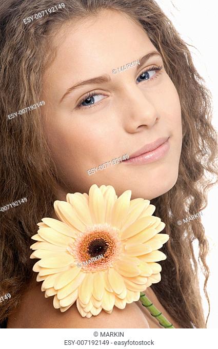 Curly hair gerbera flower Stock Photos and Images | agefotostock