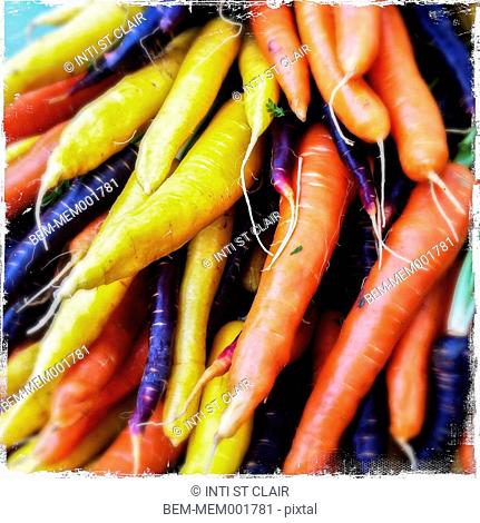 Close up of variety of fresh carrots