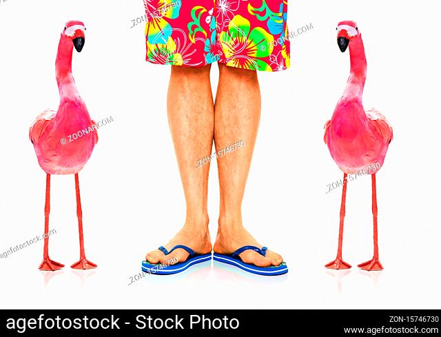pink gay flamingo and owner sitting close together at the beach on summer vacation holidays