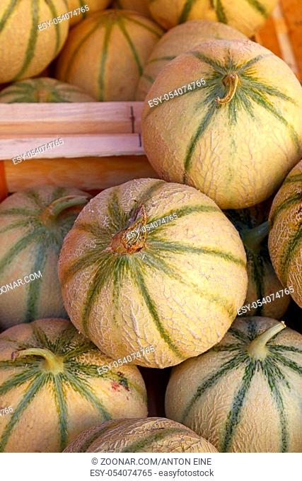 Close up whole fresh ripe summer cantaloupe melons on retail display of farmers market, high angle view