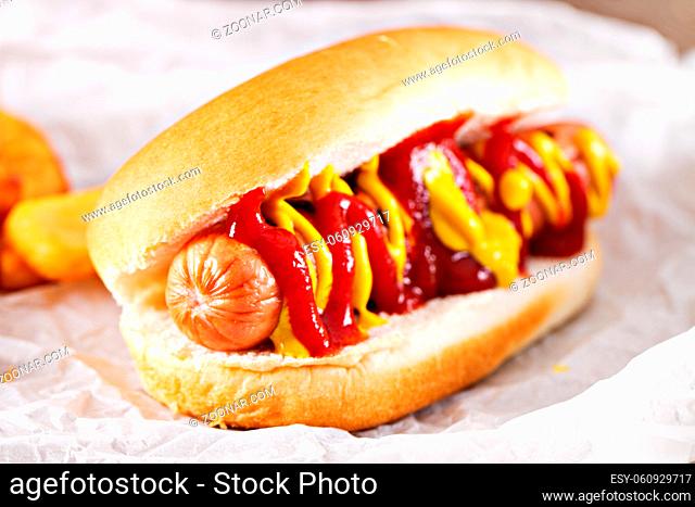 Hotdog with fries, sauce and french fries. High quality photo