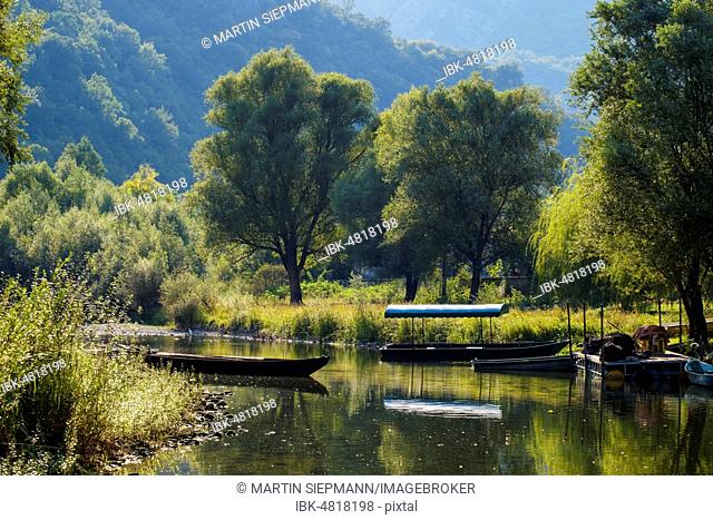 Boats on river Crnojevic, Rijeka Crnojevica, Lake Skadar National Park, near Cetinje, Montenegro