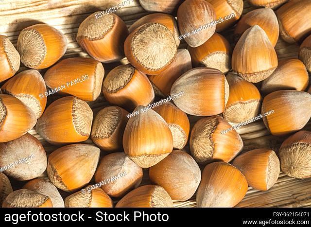 Group of hazelnuts in the husks on pressed palm leaf