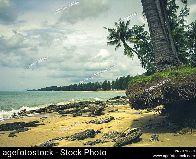 Soli erosion and washed up debris on the coast of the island of Ko Lanta, Krabi province, Thailand, Asia