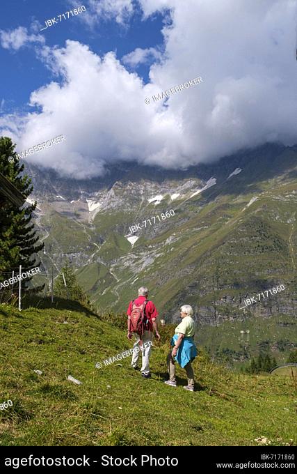 Hikers, senior citizens at the Grünbodenalm, Grünbodenhütte, on the Panorama Trail, Pfelders, Pfelderer Tal, Texel Group nature Park, South Tyrol, Italy, Europe