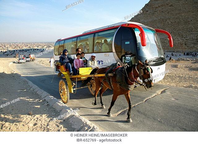 Tourist bus and horse and buggy near the pyramids, Giza, Egypt, North Africa, Africa