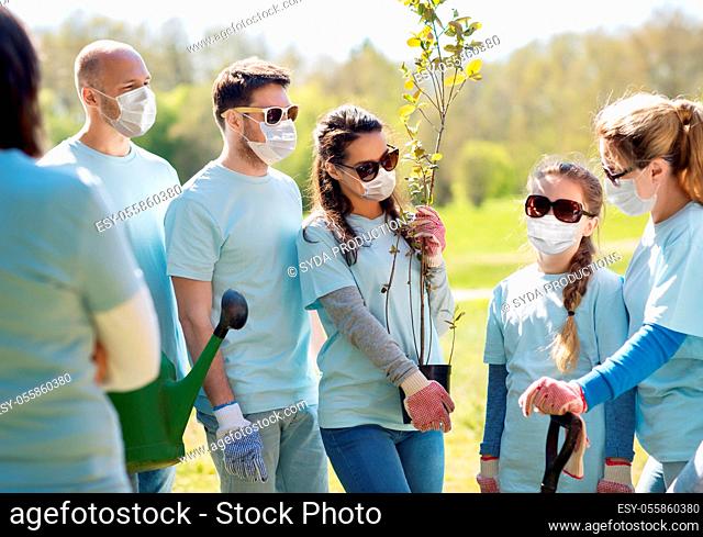 group of volunteers in masks with tree seedling