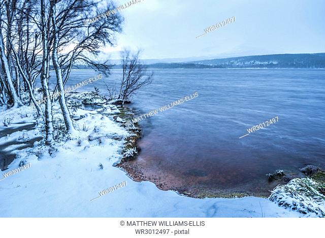 Loch Morlich in snow in winter, Glenmore, Cairngorms National Park, Scotland, United Kingdom, Europe