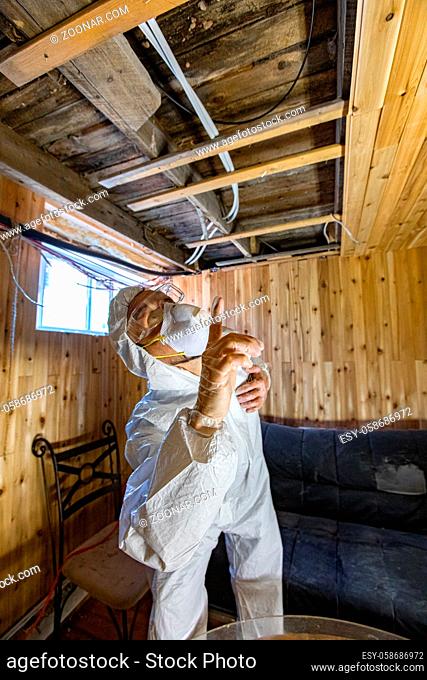 A home inspector points towards occupational hazards in the ceiling of a domestic building, wooden boards removed to reveal defects and aspergillus spores