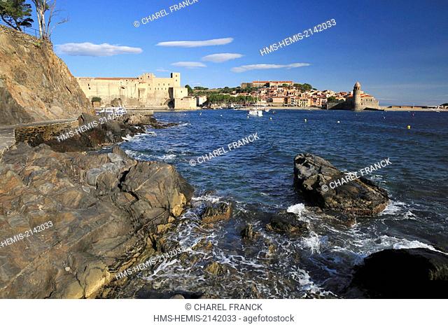 France, Pyrenees Orientales (66), Collioure, The church Notre Dame of the Angels and the royal castle of Collioure at the heart of the village of Collioure