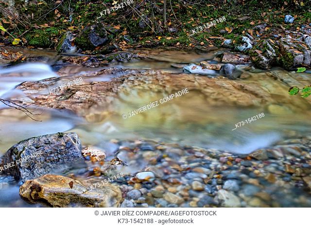 Alba River. Redes Natural Park and Biosphere Reserve. Soto de Agues. Sobrescobio Council. Asturias. Spain