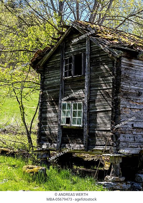 Broken wooden old house, ruin, wreckage, near village Skjolden, Sognefjord, Norway