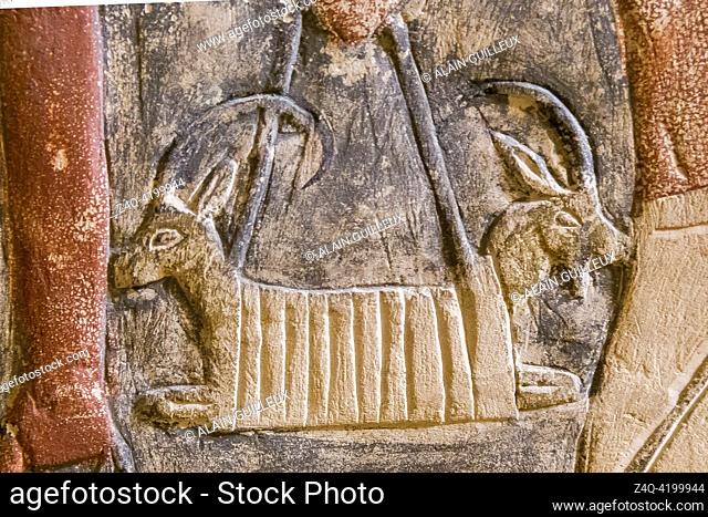 Egypt, Saqqara, tomb of Mehu, detail of offering bringers procession : Oryx and ibex, in a bag