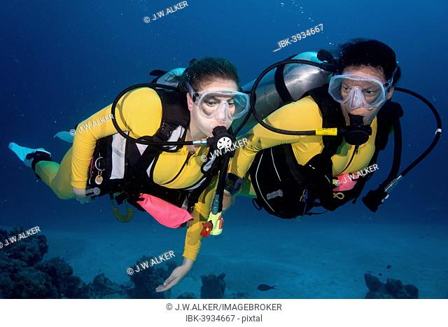 Two scuba divers in a coral reef, Palau