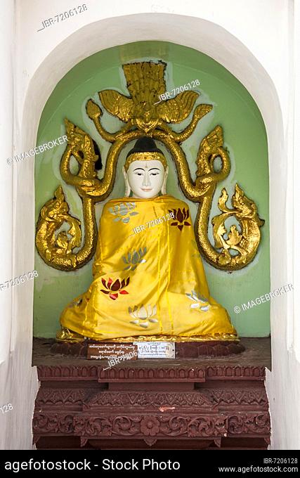 Buddha statue in shrine, Shwedagon Pagoda, Yangon, Myanmar, Yangon, Myanmar, Asia