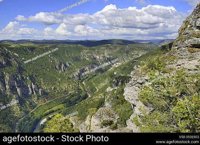 France, Lozère, Les gorges du Tarn au sommet du roc des Hourtous / France, Lozere, The Tarn gorges on top of Roc des Hourtous