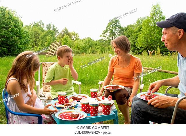 Family with two children enjoying birthday picnic