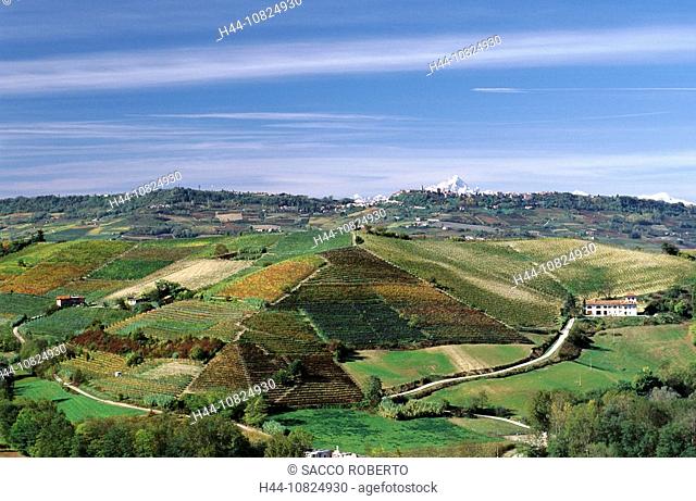 Italy, Europe, Nord, Italy, Piedmont, Langhe, province Cuneo, Valle Talloria, scenery, landscape, autumn, wine, vineya