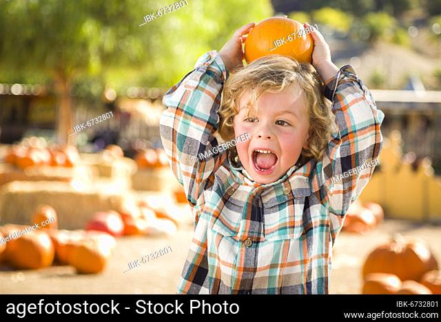Adorable little boy sitting and holding his pumpkin in a rustic ranch setting at the pumpkin patch
