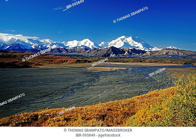 Riverbed and autumn tundra with Mt. McKinley at the back, Denali National Park, Alaska, USA