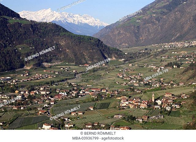 Italy, South-Tyrol, Algund, place-overview, orchards, mountains, snow-covered, spring