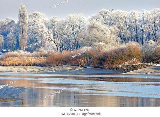tidal river Durme with reflection of snow covered trees and reed fringe, Belgium