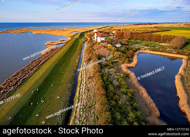 Drone image: old and new lighthouse, Westermarkelsdorf, Fehmarn island