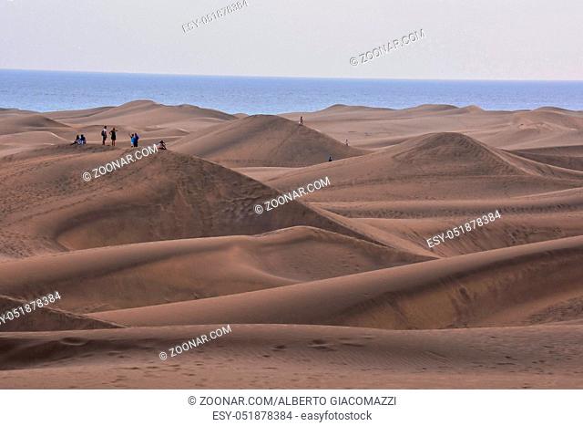 Desert with sand dunes in Maspalomas Gran Canaria Spain