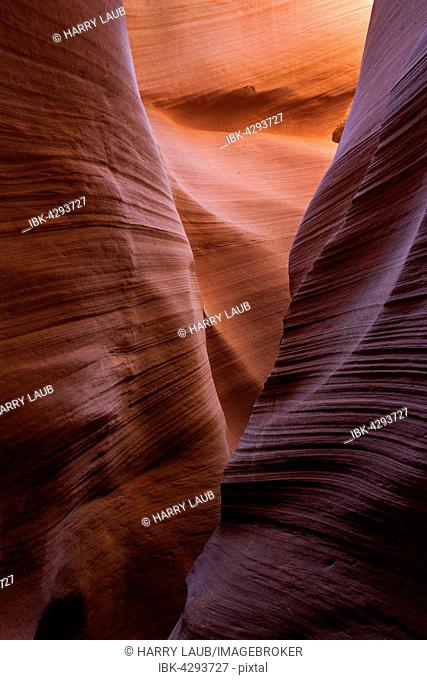 Colourful sandstone formations, Lower Antelope Canyon, Slot Canyon, Page, Arizona, USA