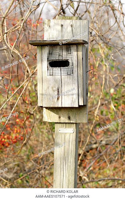 House Wren nest box Jamaica Bay Wildlife Refuge (Gateway National Recreation Area) Brooklyn/Queens, NY Friday, December 28, 2007 digital capture